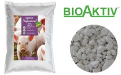 Мінеральний-інформаційний комплекс BioAktiv Salis Comp-X для тварин та птиці (200г на 1т корму)