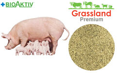 Концентрат БМВД Grassland для лактуючих свиноматок 20% (Преміум)