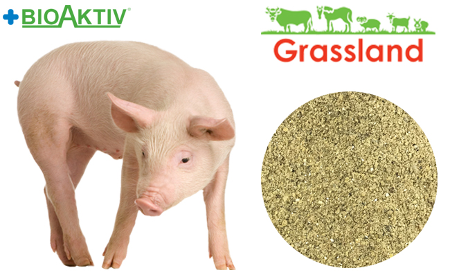 Концентрат БМВД Grassland для свиней "Стартовий" 25% (Стандарт)