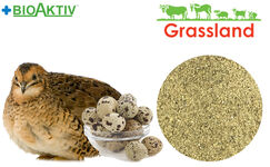 Концентрат БМВД Grassland для перепела в період яйцекладки 15% (Стандарт)
