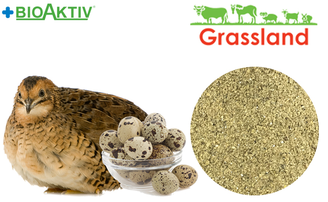 Концентрат БМВД Grassland для перепела в період яйцекладки 15% (Стандарт)