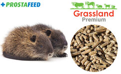 Комбікорм Grassland для нутрій "Відгодівля"