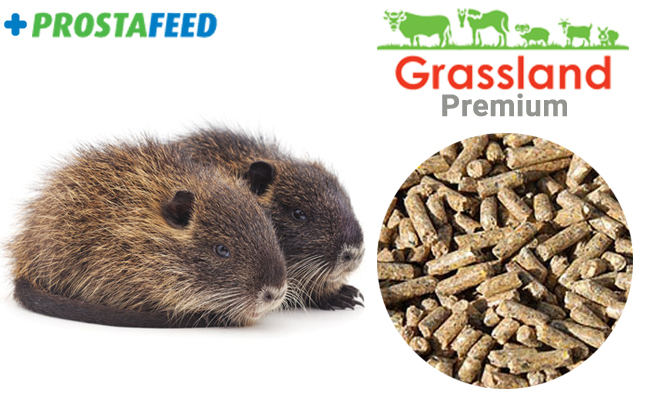 Комбікорм Grassland для нутрій "Відгодівля"