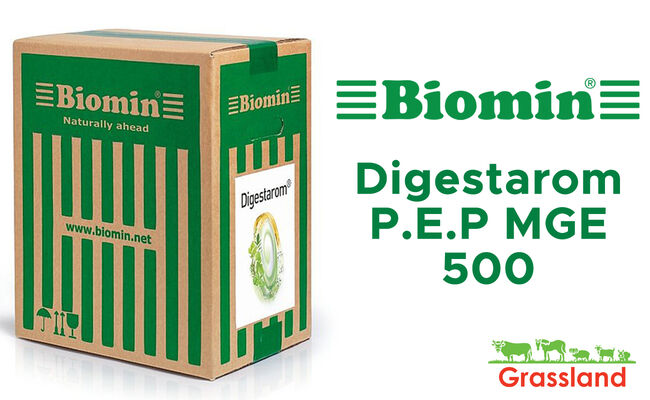 Фітогенна кормова добавка Digestarom P.E.P MGE 500