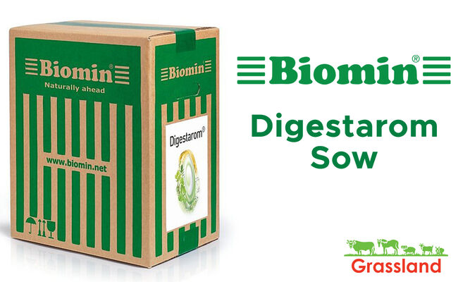 Фітогенна кормова добавка Digestarom Sow