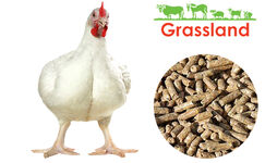 Комбікорм Grassland для бройлерів "Фініш" (Стандарт) (з 29 дня)