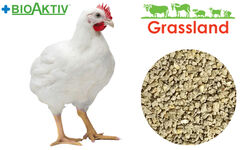 Комбікорм Grassland для бройлерів "Гровер" (Стандарт) (15-28 день)