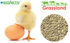 Комбікорм Grassland для курчат бройлерів "Стартовий" (Стандарт) (1-14 день) 
