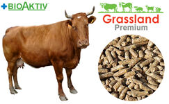 Комбікорм Grassland для дійних корів (Преміум)