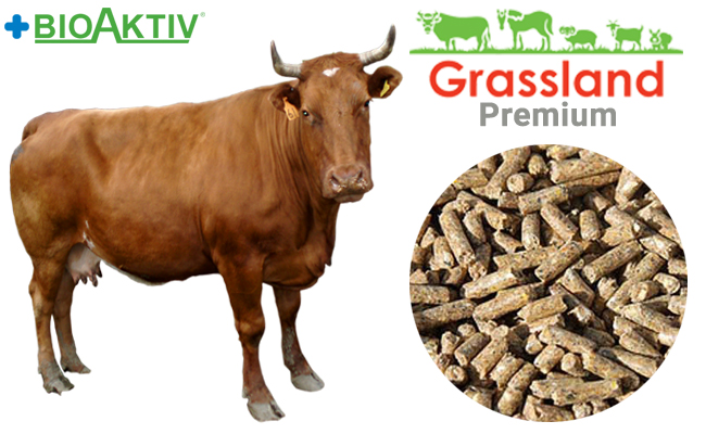 Комбікорм Grassland для дійних корів (Преміум)