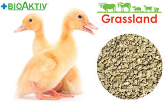 Комбікорм Grassland для качок та гусей "Стартовий" 1-21 днів (Стандарт)