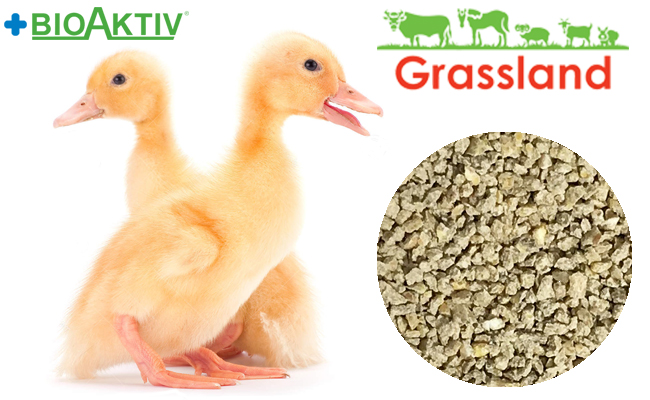 Комбікорм Grassland для качок та гусей "Стартовий" 1-21 днів (Стандарт)
