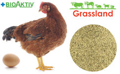 Концентрат БМВД Grassland для курей несучок "Період яйцекладки" 15% (Стандарт)