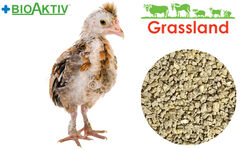 Комбікорм Grassland для кур несучок/Редбро "Гровер"