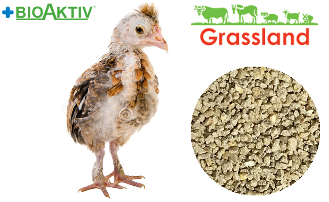 Комбікорм Grassland для кур несучок/Редбро "Гровер"