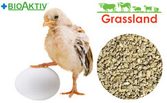 Комбікорм Grassland для курчат несучки/Редбро "Стартовий"