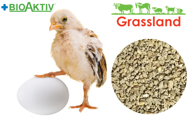 Комбікорм Grassland для курчат несучки/Редбро "Стартовий"