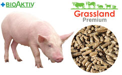 Комбікорм Grassland для поросят "Гровер" 100% (Преміум)