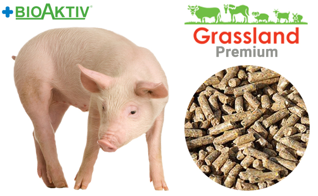 Комбікорм Grassland для поросят "Стартовий" 100% (Преміум)