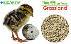 Комбікорм Grassland для перепелів "Стартовий"  (1-3 тижня) (Стандарт)