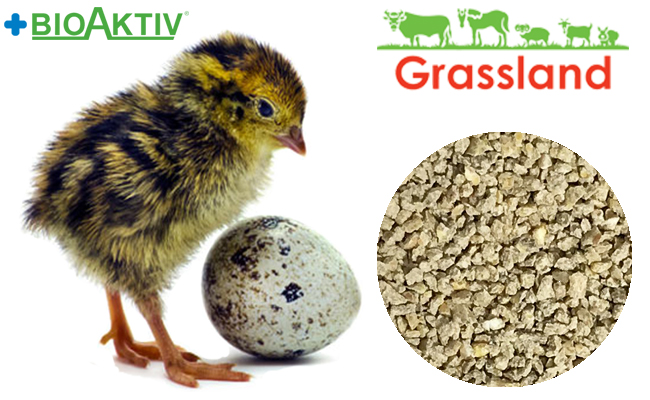 Compound feed Grassland for quail "Starting" (Standart)