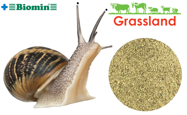 Комбікорм Grassland для маточного поголів'я равликів (Стандарт)