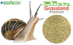 Комбікорм Grassland для равликів "Гровер" (Стандарт)