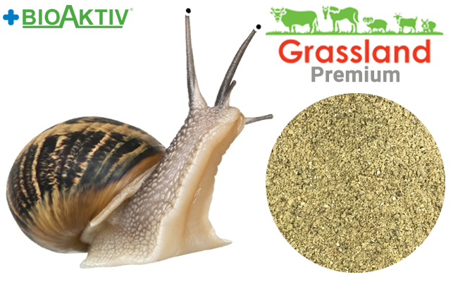 Комбікорм Grassland для равликів "Гровер" (Стандарт)