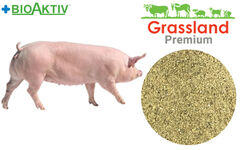 Концентрат БМВД Grassland для супоросних свиноматок 20% (Преміум)