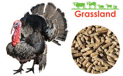 Комбікорм Grassland для індиків "Фініш" (Стандарт) (з 18 тижня)