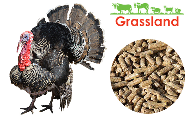 Комбікорм Grassland для індиків "Фініш" (Стандарт) (з 18 тижня)