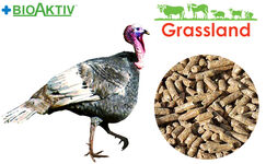 Комбікорм Grassland для індиків "Гровер" (Стандарт) (14-17тижнів)