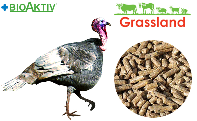 Комбікорм Grassland для індиків "Гровер" (Стандарт) (14-17тижнів)