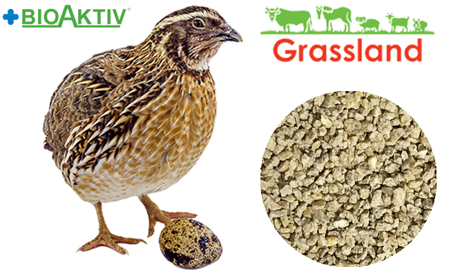 Комбікорм Grassland для перепела "Гровер" (4-6 тижня) (Стандарт)
