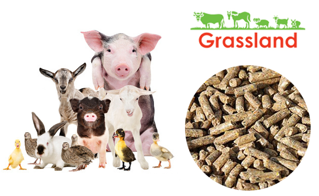 Універсальний повнораціонний комбікорм Grassland для сільськогосподарських тварин і птиці