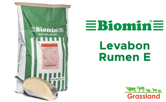 Кормова добавка для жуйних тварин Levabon Rumen E