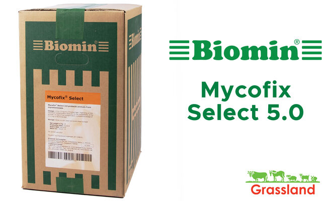 Інактиватор мікотоксинів Mycofix Select 5.0