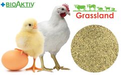 Премікс Grassland для бройлерів "Старт/Гровер" 2,5%/2,0%  (№142)