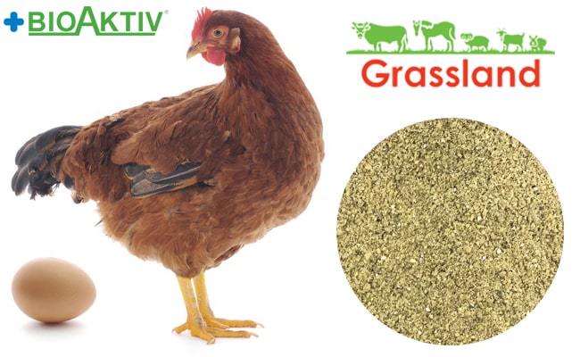 Премікс Grassland для курей несучок "Період яйцекладки" 3% (№100681) 