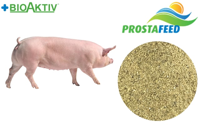 Премікс Prostafeed для супоросних свиноматок 3% (Преміум)