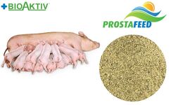 Премікс Prostafeed для лактуючих свиноматок 4% (N20030)