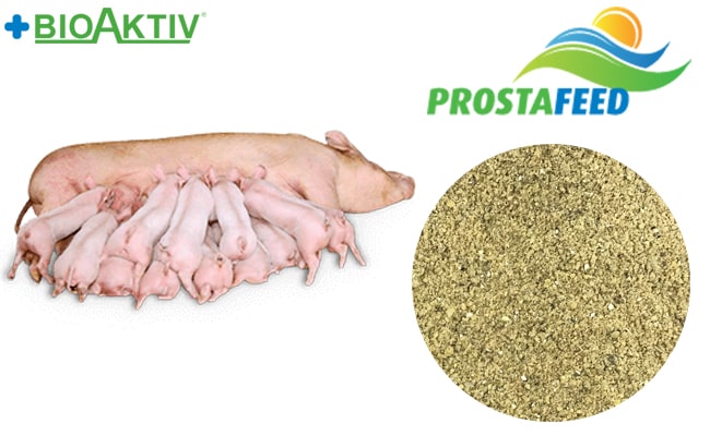 Премікс Prostafeed для лактуючих свиноматок 4% (N20030)