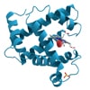 Compound enzyme Yiduozyme® A-F811